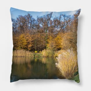 A lake with woods in the background and vibrant colors Pillow