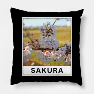 Beautiful Cherry Blossoms Floral Photography Pillow