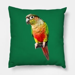 Conure Parrot Bird design | Green cheek | Love for birds Pillow