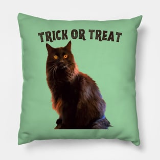 Trick or Treat Pillow