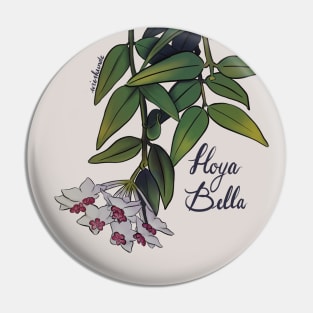 Hoya bella in bloom Pin