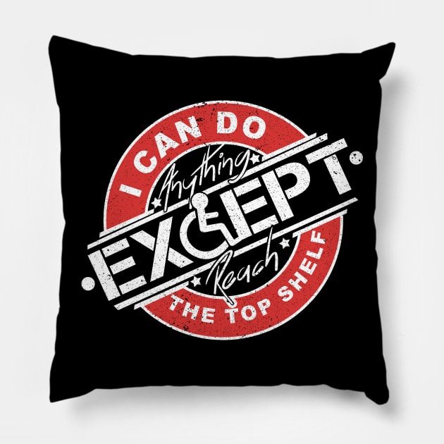 'Except Reach The Top Shelf' Hilarous Wheelchair Gift Pillow by ourwackyhome