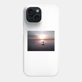 Dog Chasing Sunset in California Phone Case