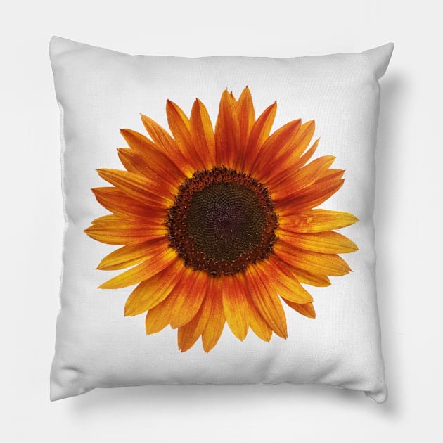 A beatiful Sunflower Pillow by ShadowCarmin