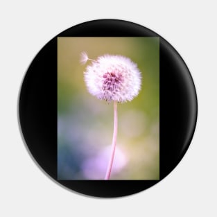 Dandelion 2 Pin