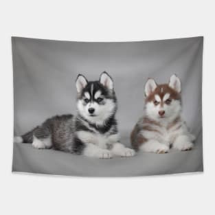 Husky puppies Tapestry