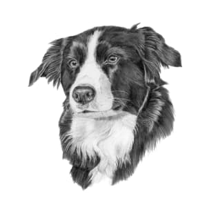 Border collie 1 T-Shirt