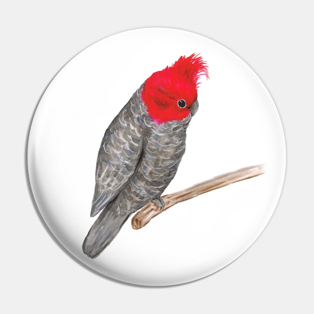 Gang gang cockatoo Pin by Bwiselizzy