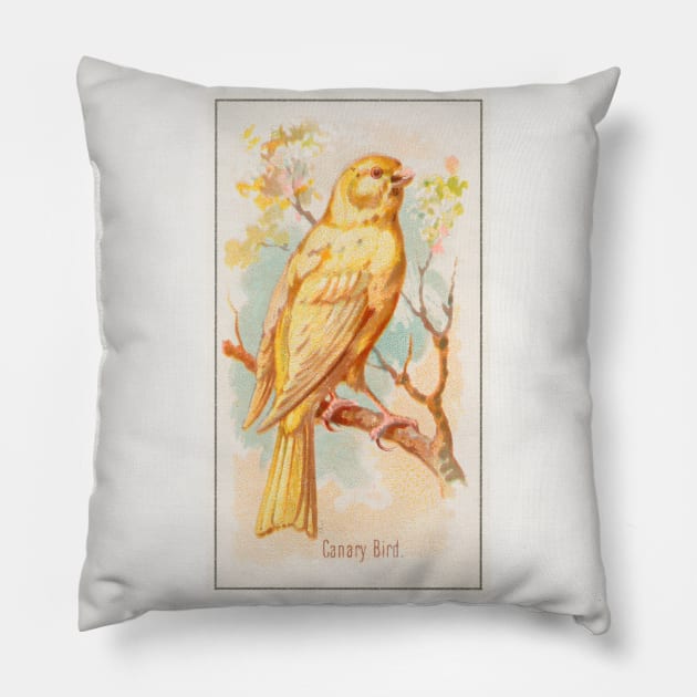 Canary Bird Pillow by WAITE-SMITH VINTAGE ART