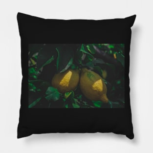 Limone Lemons Pillow