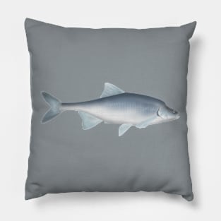 Humpback Chub Pillow