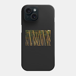 Deep Forest Phone Case