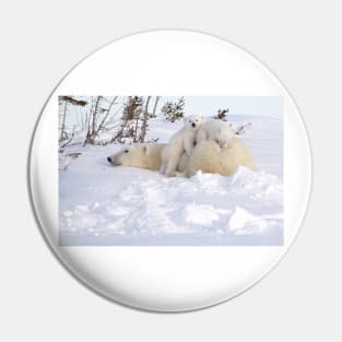 Polar bear cubs playing on Mom's back Pin