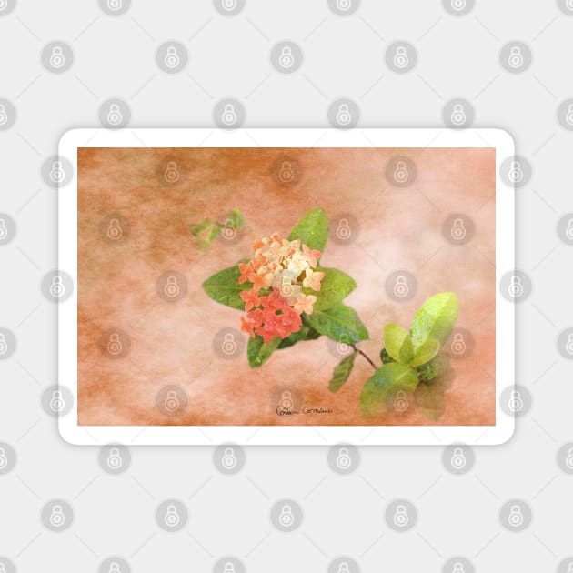 Peach Flowers Digital Art Magnet by ButterflyInTheAttic