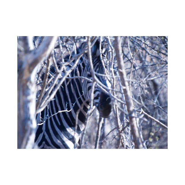 Zebra camo. by brians101