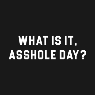 What is it, Asshole day? T-Shirt