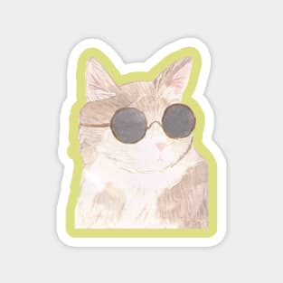 Sunglasses cat Magnet