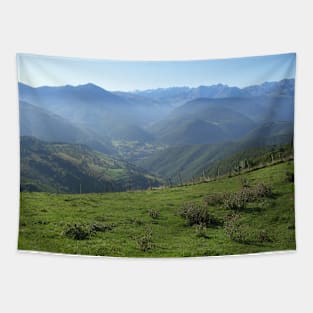 Mountainview of Col d'Aspin Tapestry