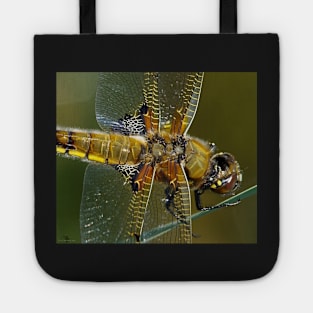 broad bodied chaser dragonfly Tote