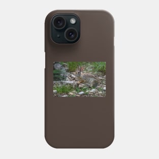 Cottontail Rabbit Hopping Along the Trail Phone Case