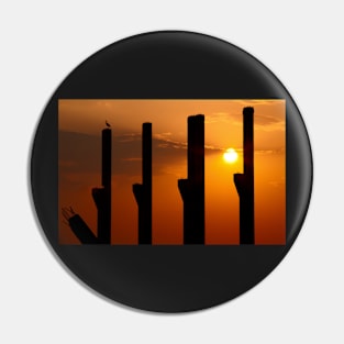 Pillars at sunset with a stark Pin