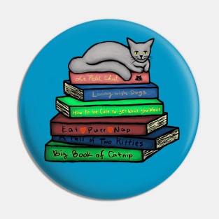 Cat Nap on Books Pin