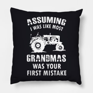 Assuming I Was Like Most Grandmas Was Your First Mistake Pillow