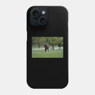 Clydesdale Phone Case