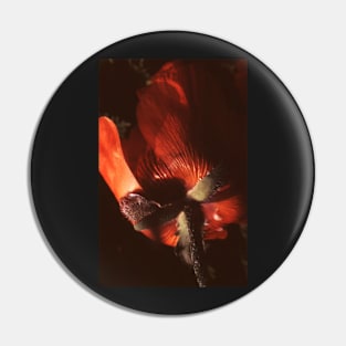 Poppy Pin