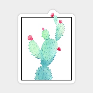 catus Magnet