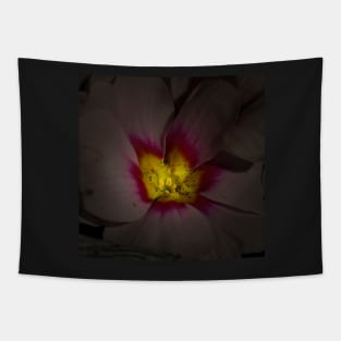 pink blossom Tapestry