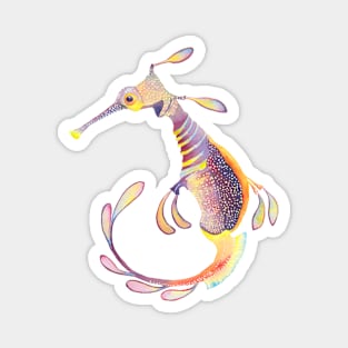 Weedy seadragon - watercolour Magnet