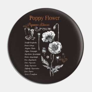 Poppy Flower - Botanical illustration with scientific classification. Pin