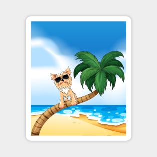 Yorkshire Terrier Dog Wearing Sunglasses on Palm Beach during Summer Magnet