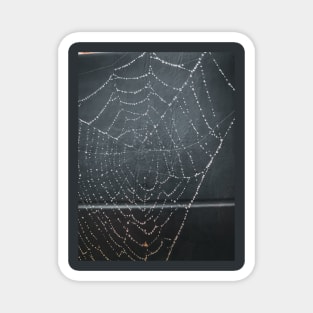 Spider Web Magnet