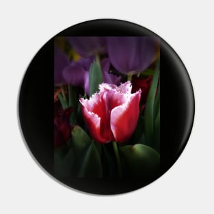 Fringed Pink and White Tulip Pin