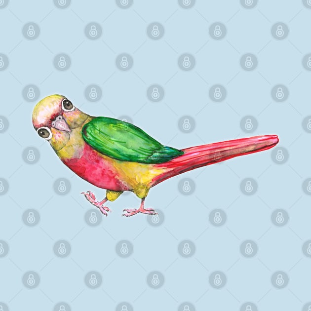 Very cute pineapple conure by Bwiselizzy