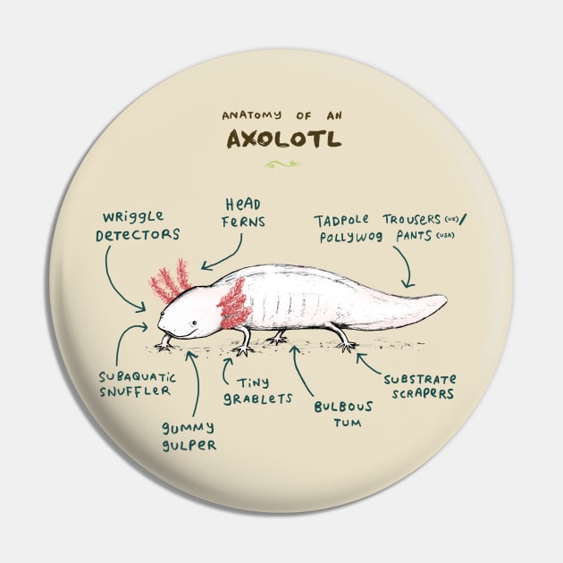 Anatomy of an Axolotl Pin by Sophie Corrigan