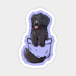 Pocket Cute Newfoundland Dog Magnet