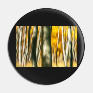 Aspens Abstract No.2 Pin