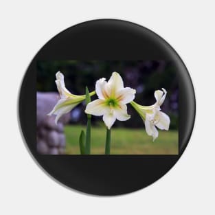 Flowers in Bloom Pin