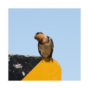 Curious bird T-Shirt