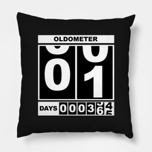 1st Birthday Oldometer Pillow