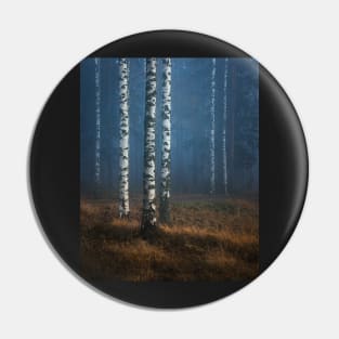 Foggy autumn forest Pin