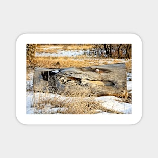 Cherry Creek Winter Study 3 Magnet