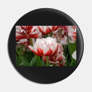 tulips Pin