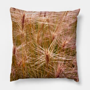 Wild wheat at the Worlds End. Pillow