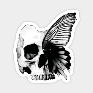 Butterfly Skull Art Magnet