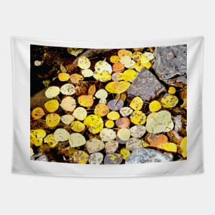 Aspen Leaves and Fall Colors in Colorado Tapestry