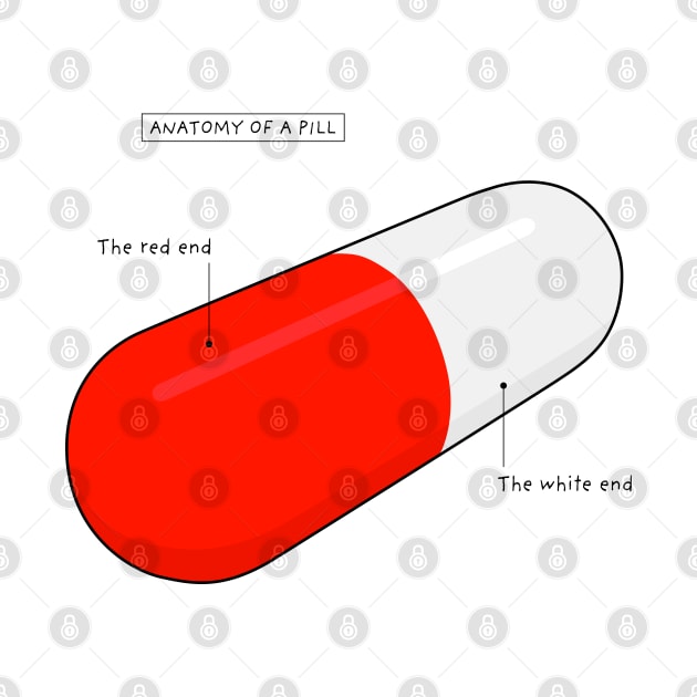 Anatomy of a Pill by helengarvey